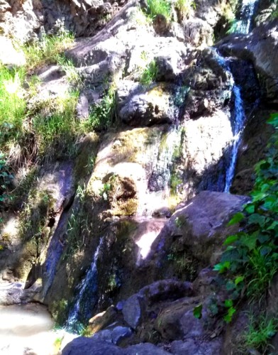 She took me to a hidden waterfall (it's on private property!).
